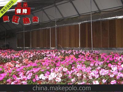 高要市蛟塘镇鼎格节能设备工程部 白铁通风设备与车间湿濂降温实景图鉴
